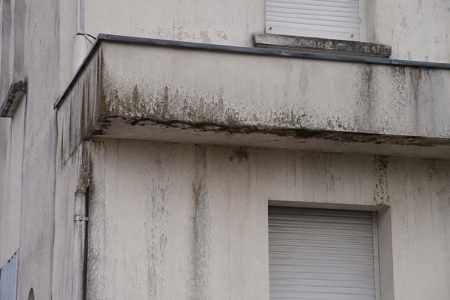 Façade avec traces d'humidité et mousses