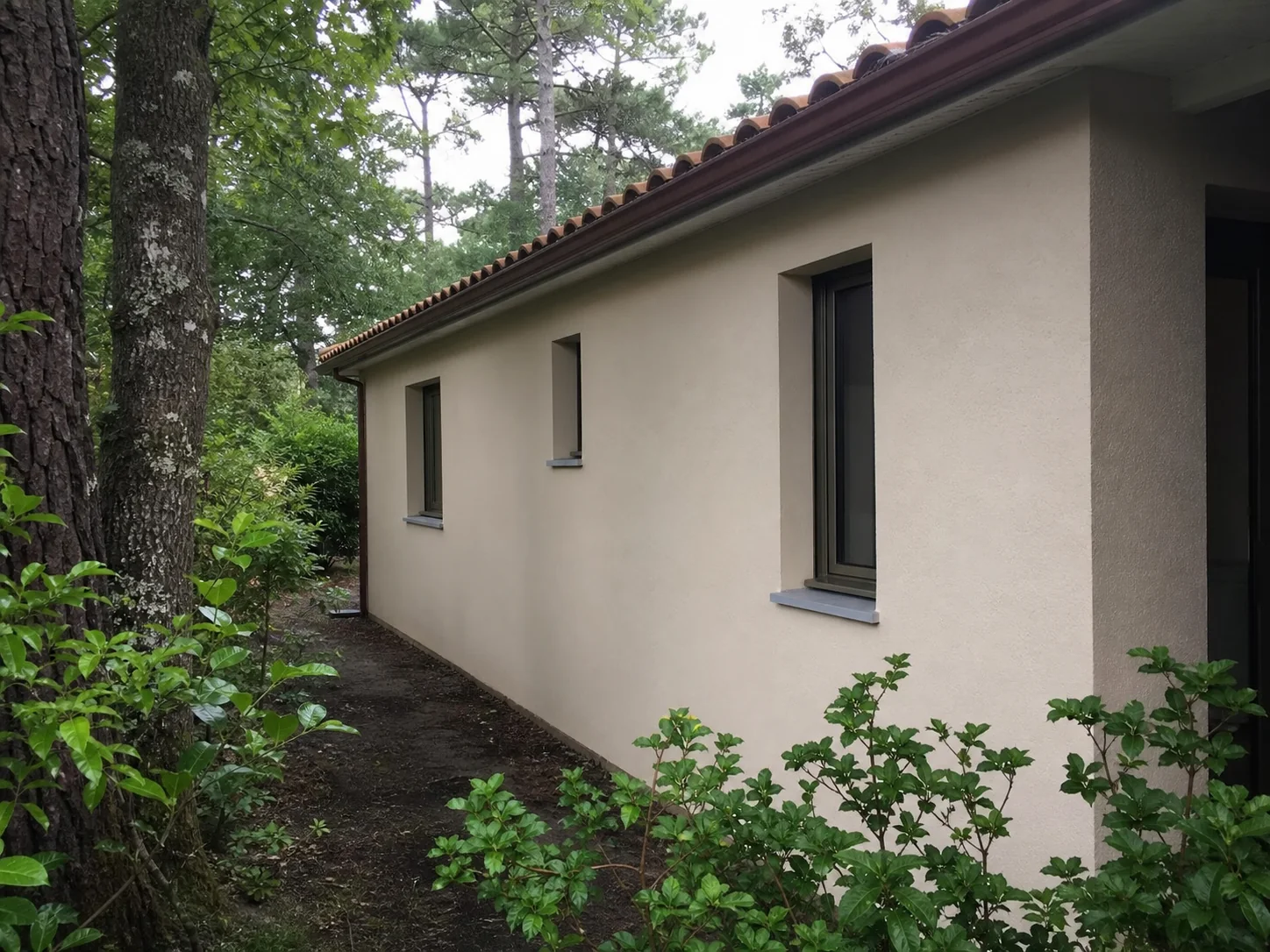 Illustration d'une façade traitée contre les mousses à Pessac