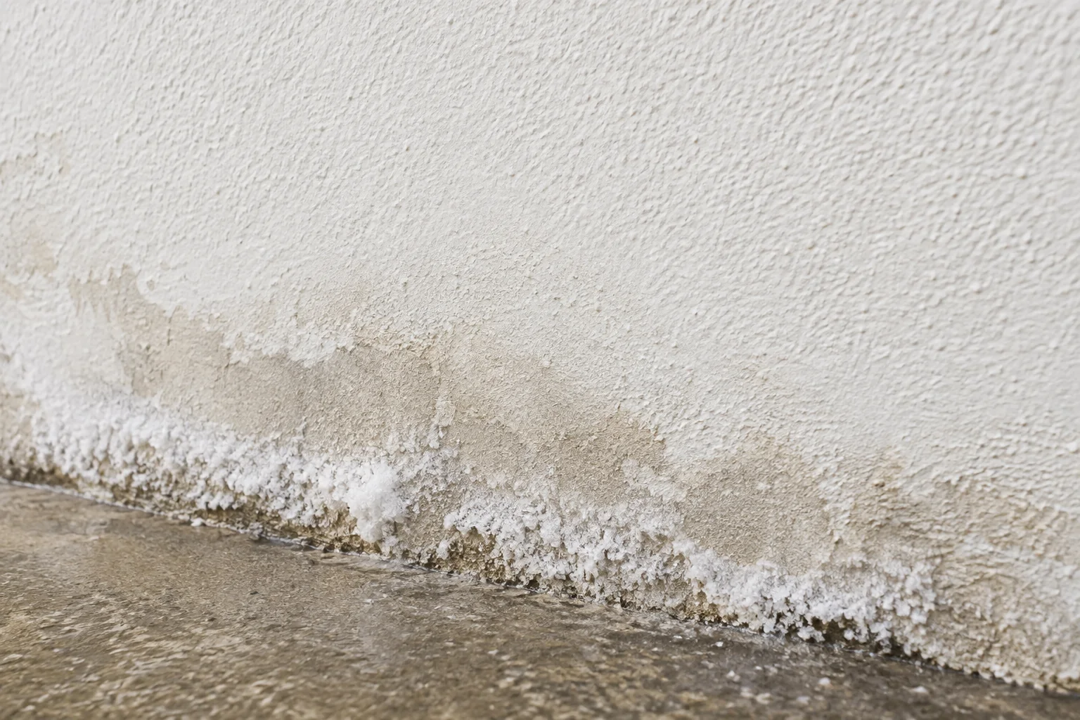 Dépôts blancs de salpêtre sur un enduit extérieur peint